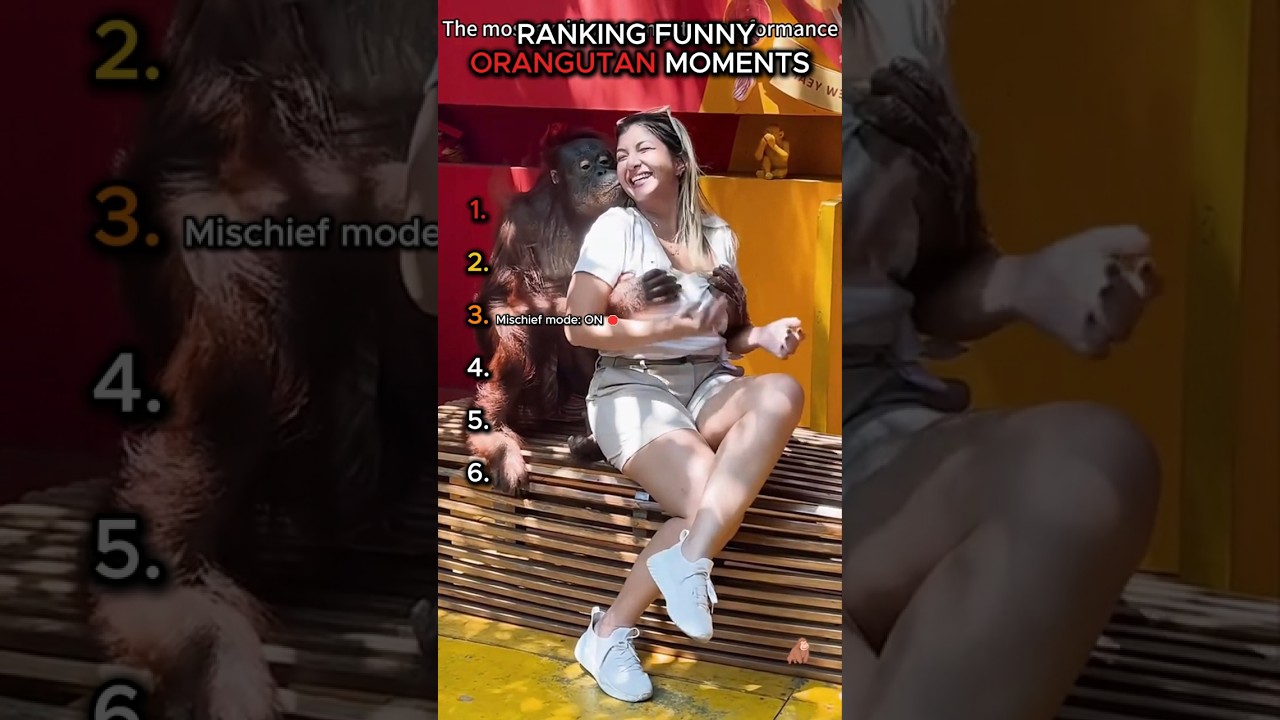 When Orangutans Act Like Humans 😭🦧 #shorts