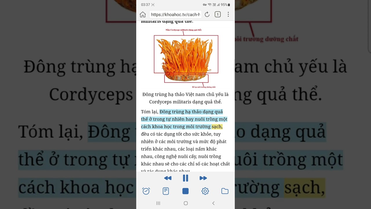 Cách hiểu khoa học về nấm Đông trùng hạ thảo