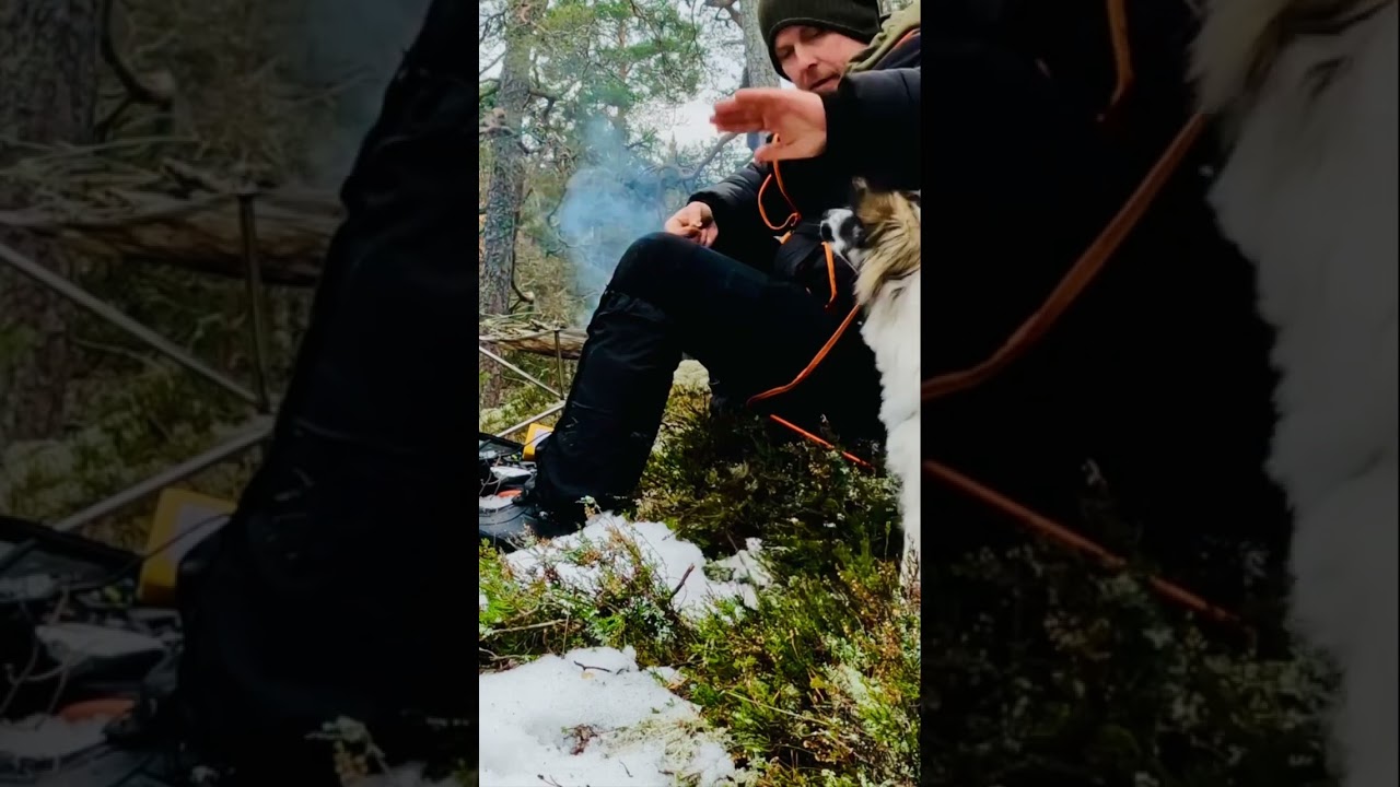 DAGSLÄGER VALPTRÄNING PÅGÅR 