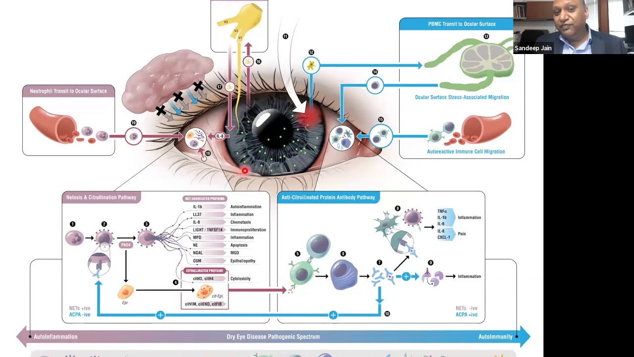 Topical Immunotherapy for Ocular Surface Diseases