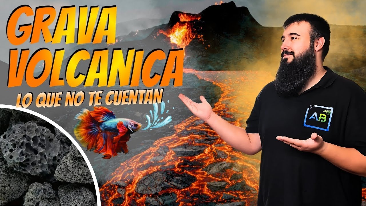 🔥GRAVA VOLCÁNICA en acuarios ⚠️ La VERDAD que NADIE te contó 😱| GUIA COMPLETA para NOVATOS