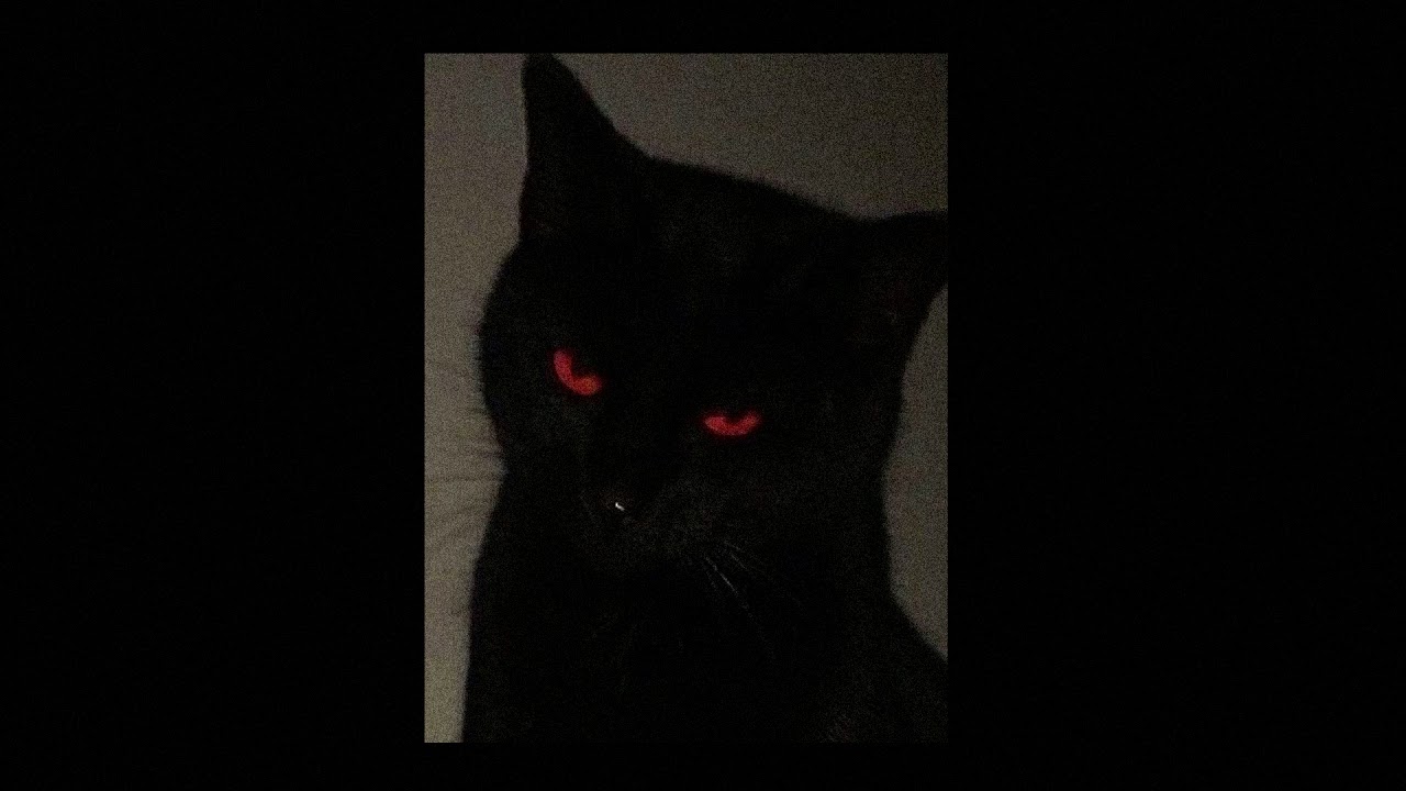 [FREE] BABY KEEM TYPE BEAT 