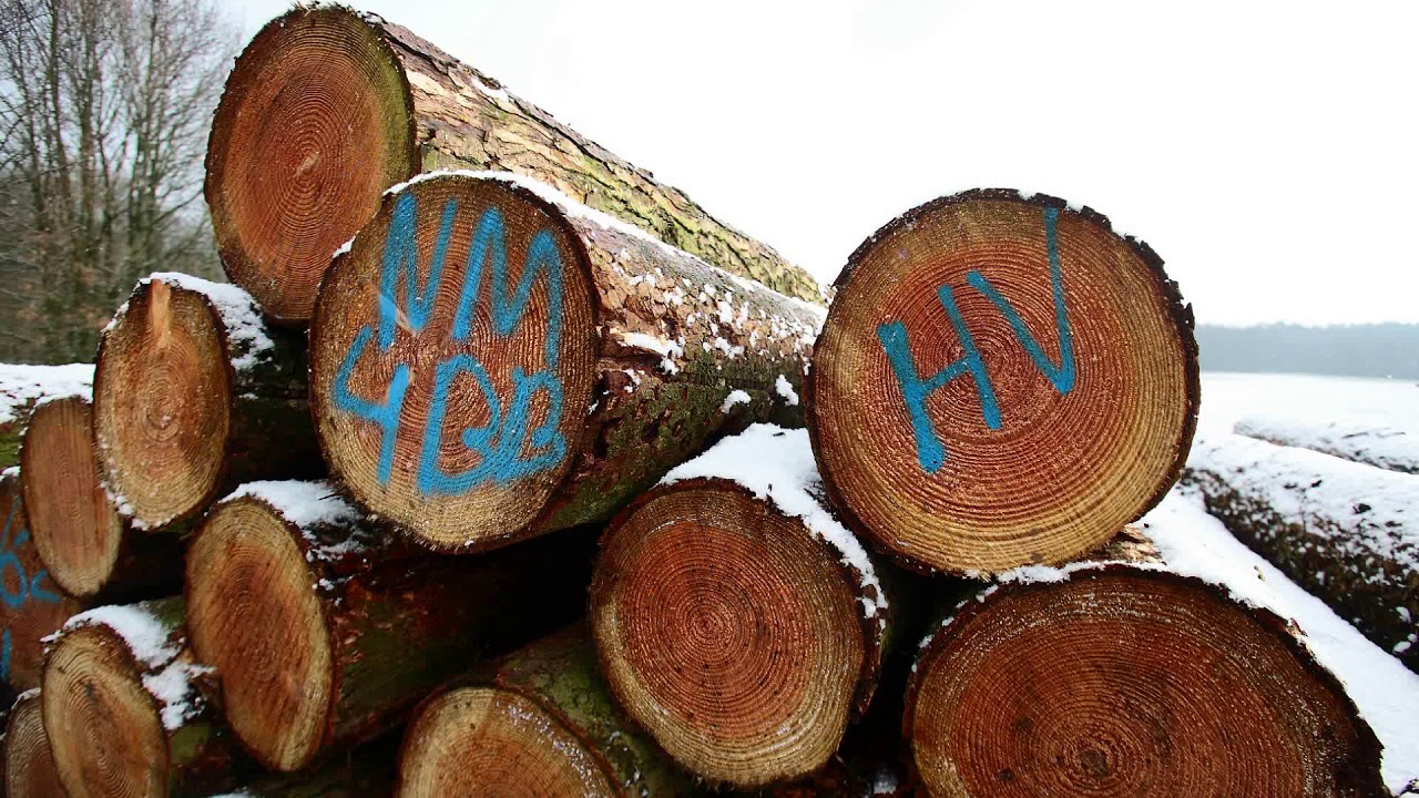 Het Bergherbos door de eeuwen heen