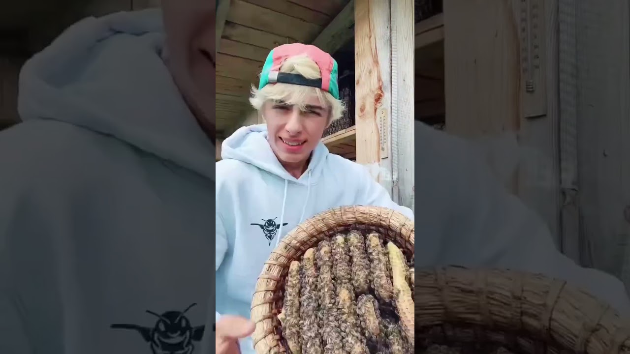 WAS IST DAS??? #beesteez #bienen #imker #nature