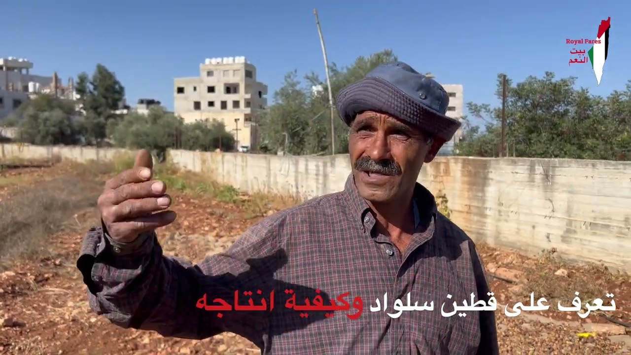 تعرف على قطين سلواد وعلى طريقة انتاجه