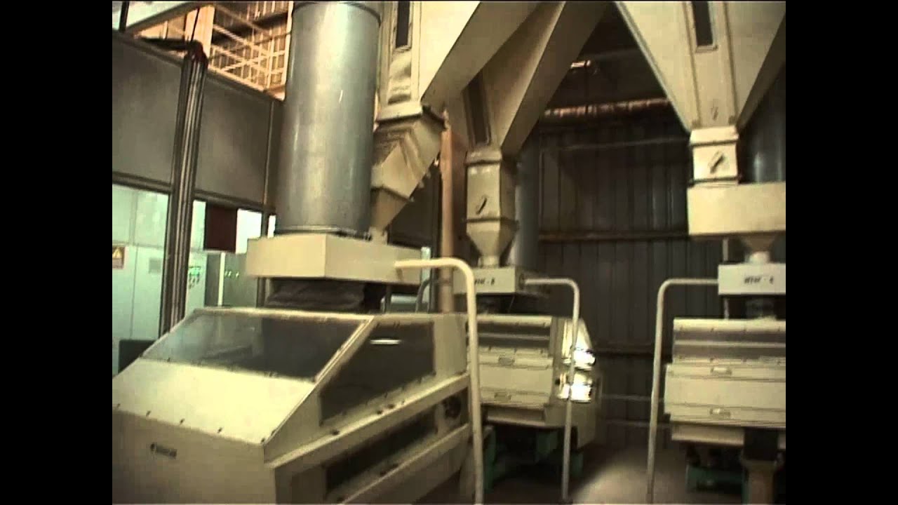 CHARBHUJA PEANUT FACTORY IN INDIA