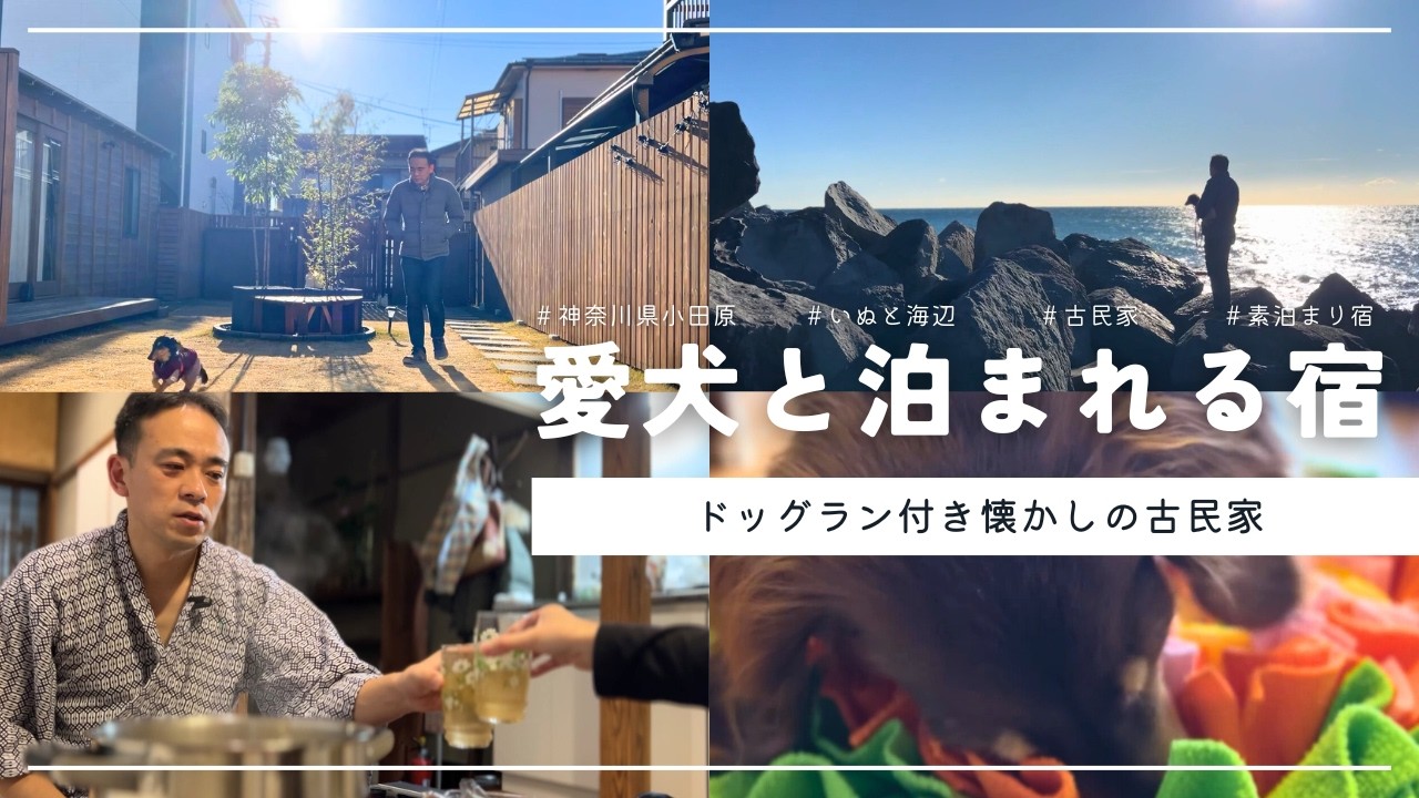 【犬連れ旅行神奈川小田原宿】愛犬と泊まれる宿\いぬと海辺&bull;北館/で昭和レトロな宿泊体験🐶🐶😴1泊2日わんこ旅2/2 2025.1