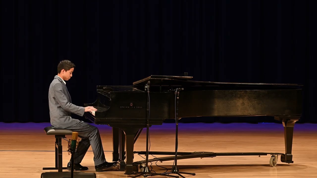 Reverie   P  Tchaikovsky | Sebastian P