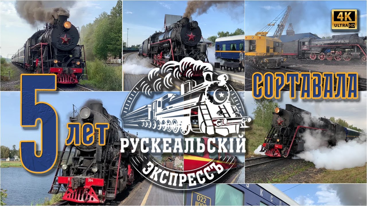 🚂 