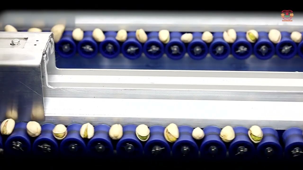 Pistachio Sorting Machine Demo