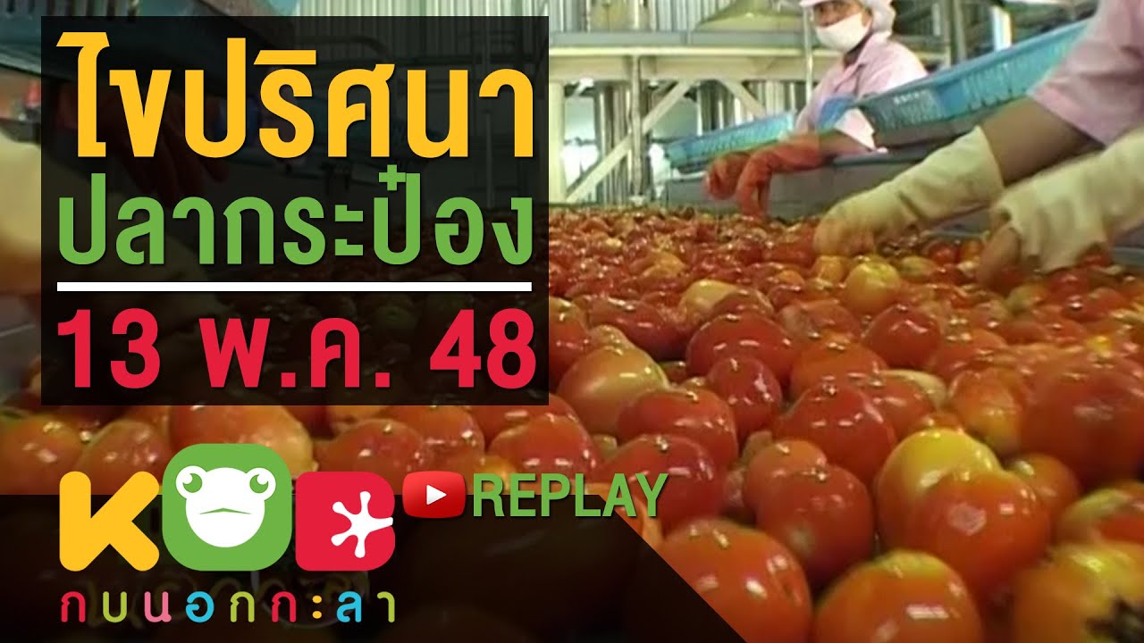 กบนอกกะลา REPLAY : ไขปริศนาปลากระป๋อง ช่วงที่ 3/4 (13 พ.ค. 48)