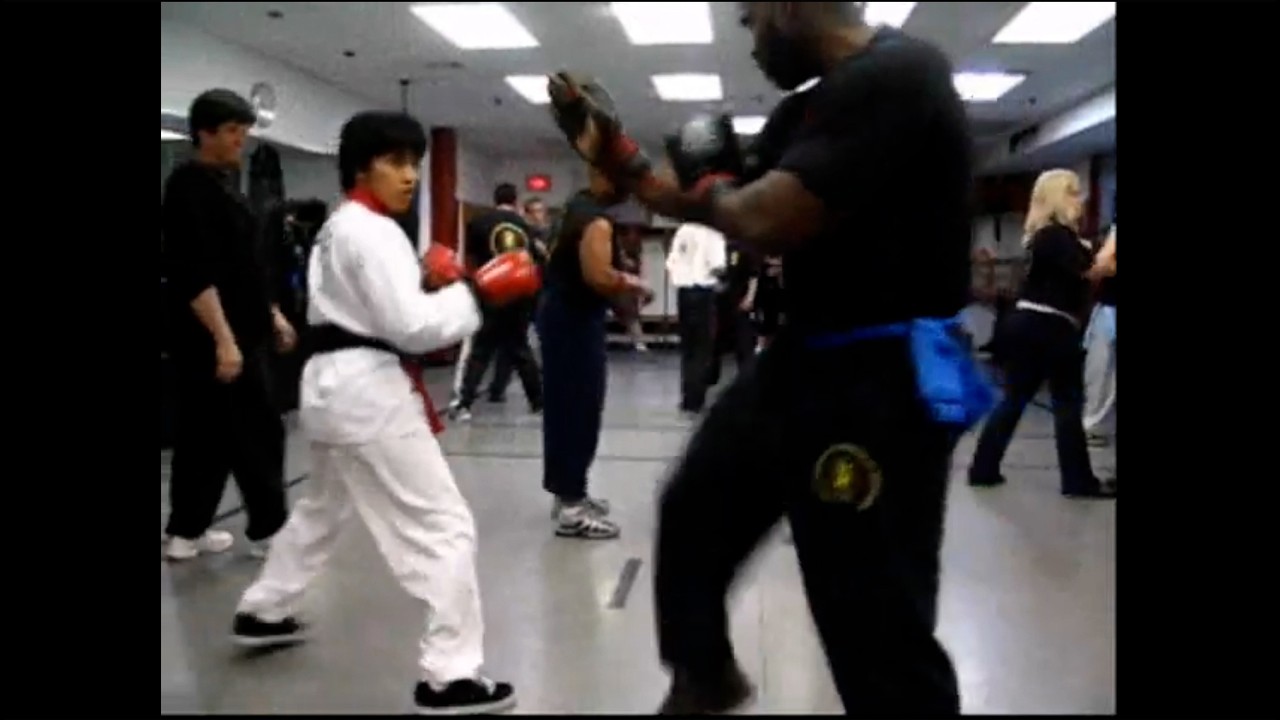 Tang Soo Do vs Wing Chun
