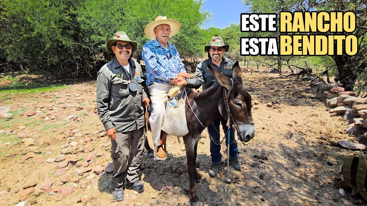 Tenemos AGUA TODO EL AÑO gracias a este VENERO