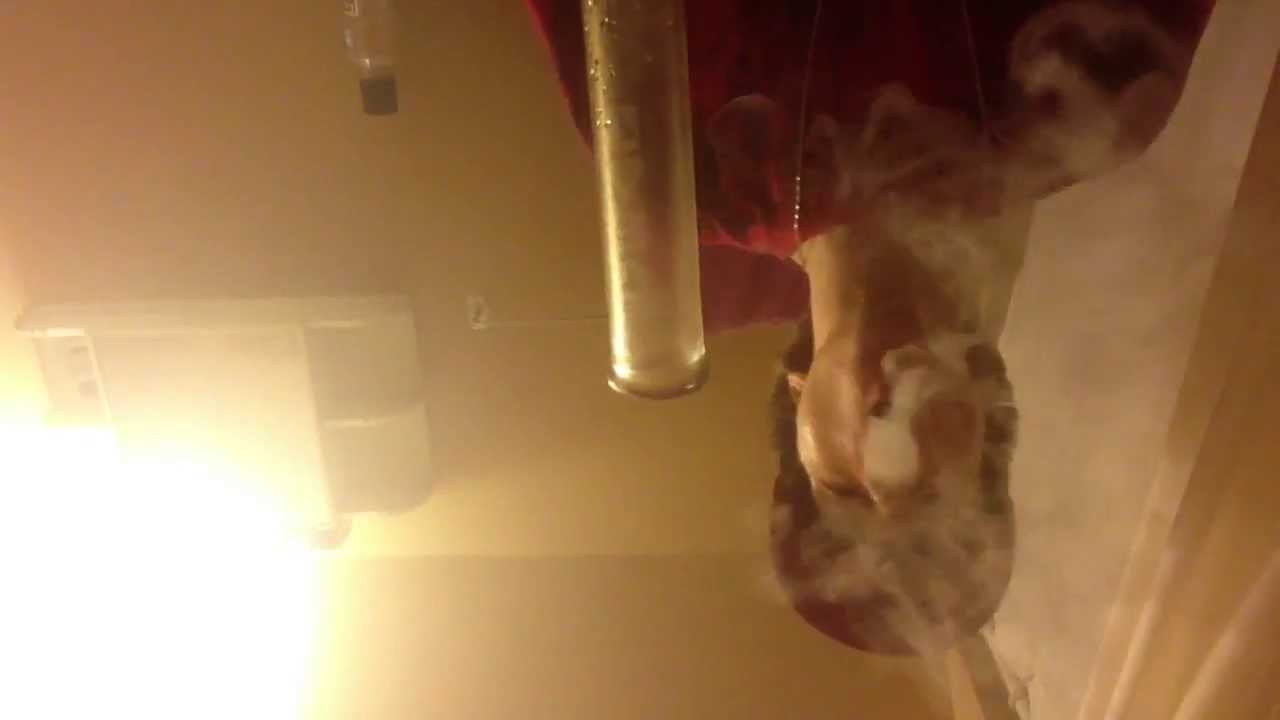 Hilarious Jamaican Hotbox Toke [Official]