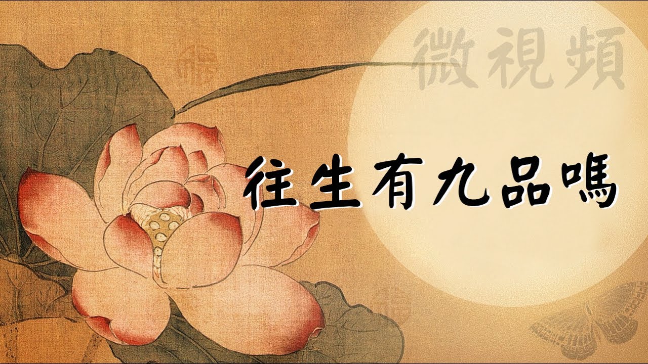 淨土宗微視頻：往生有九品嗎？（慧淨法師）