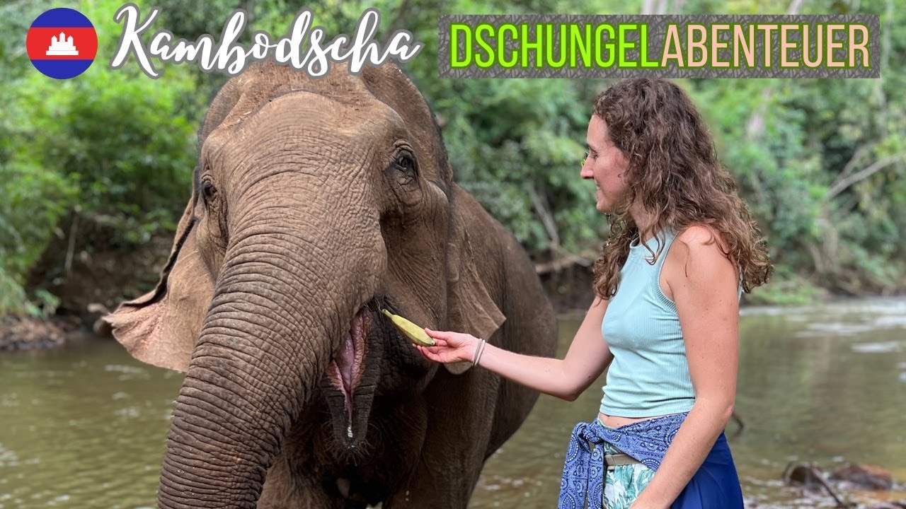 Mondulkiri Project - Elefanten im Dschungel von Kambodscha | Vlog 4K
