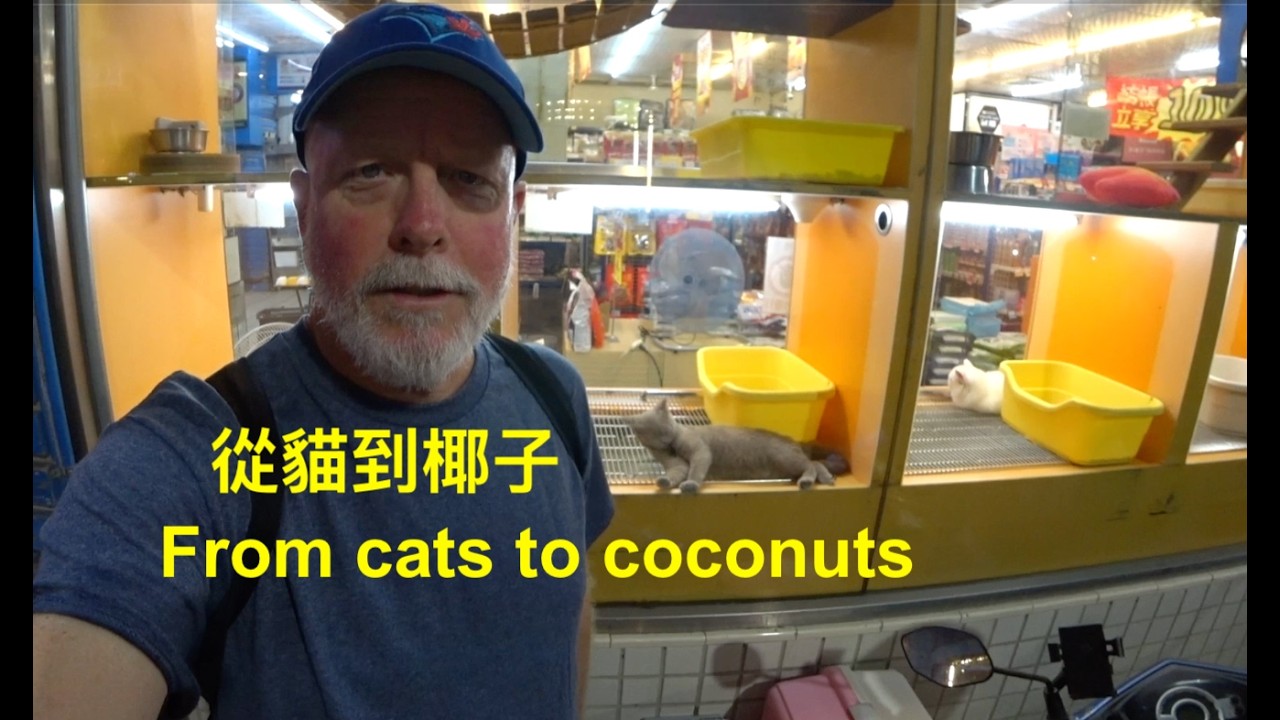 From Night Markets to Everyday Life: A Retired Expat’s Journey in Taiwan.