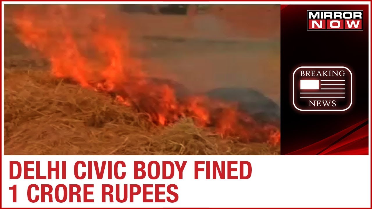 North Delhi civic body fined ₹1 crore for no action against garbage burning in Kirari village