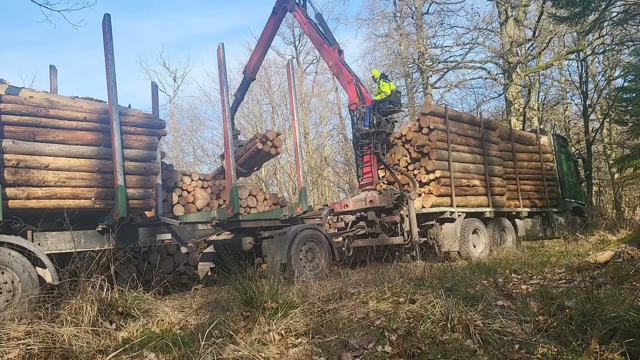 3m fi laden palfinger kran