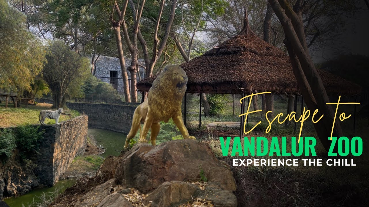 Vandalur Zoo / Arignar Anna zoological park / Chennai Park