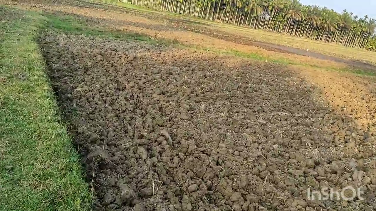 ನಮ್ಮ ಗದ್ದೆ ವೀಡಿಯೋ 