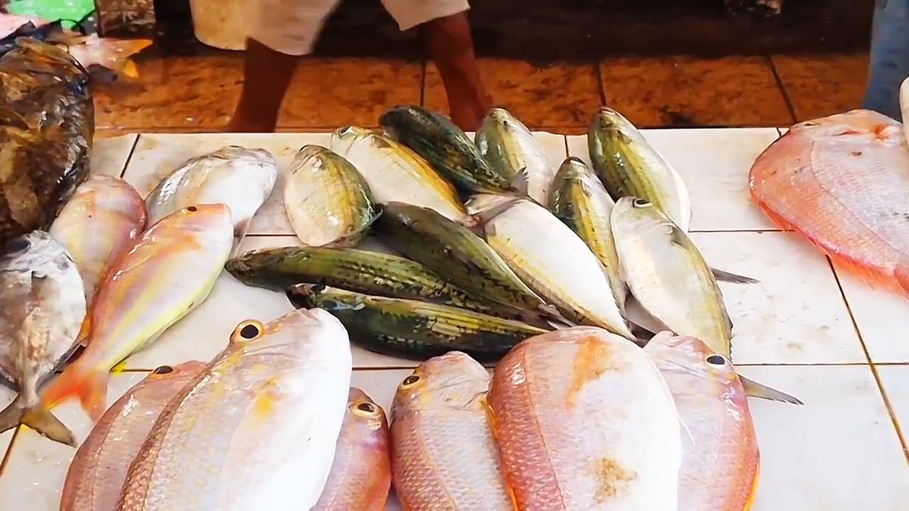 BEGINI HARGA IKAN DI FAKFAK KALAU LAGI MAHAL @dfivefamily6381