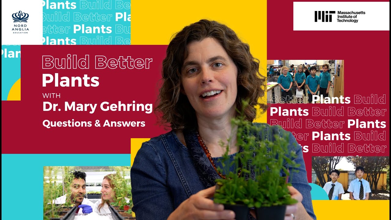 Build Better Plants Questions and Answers ft. Dr. Mary Gehring | Build Better | MIT Challenges
