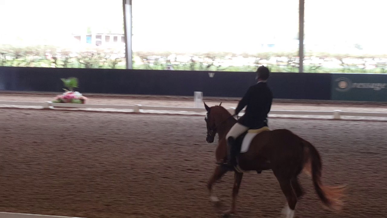 FEI 4 Years Old Test - 71.60% - 4 Place Ant&oacute;nio Alvadia