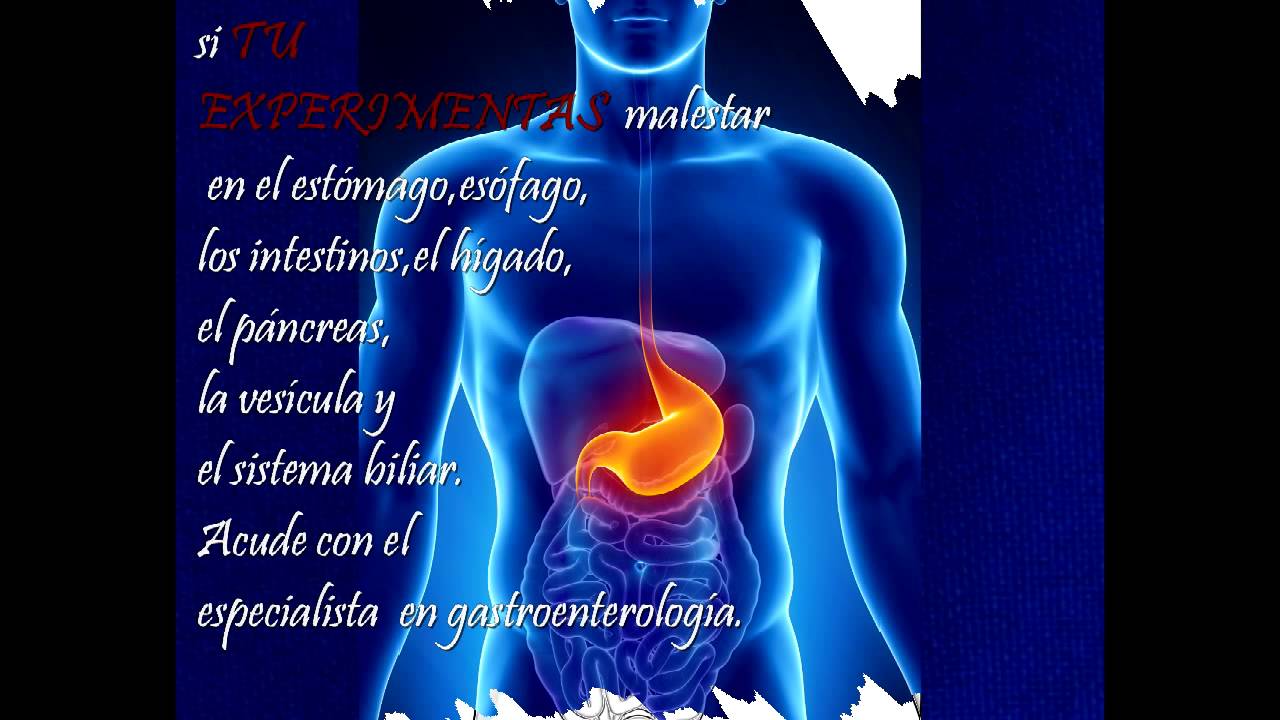 Gastroenterolog&iacute;a &iquest;Porqu&eacute; y cuando a visitar un gastroenter&oacute;logo