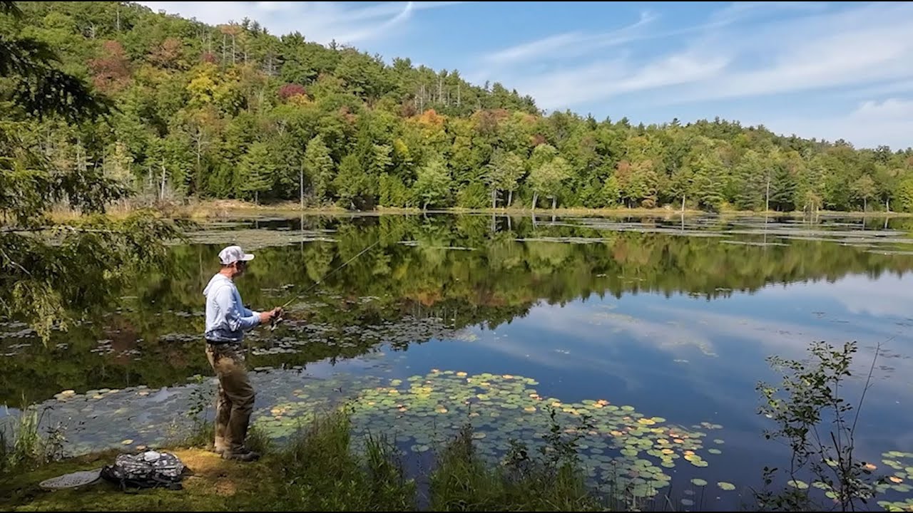 Exploring Hidden Ponds on Vermont's Public Lands: A Hike-In Fishing Adventure