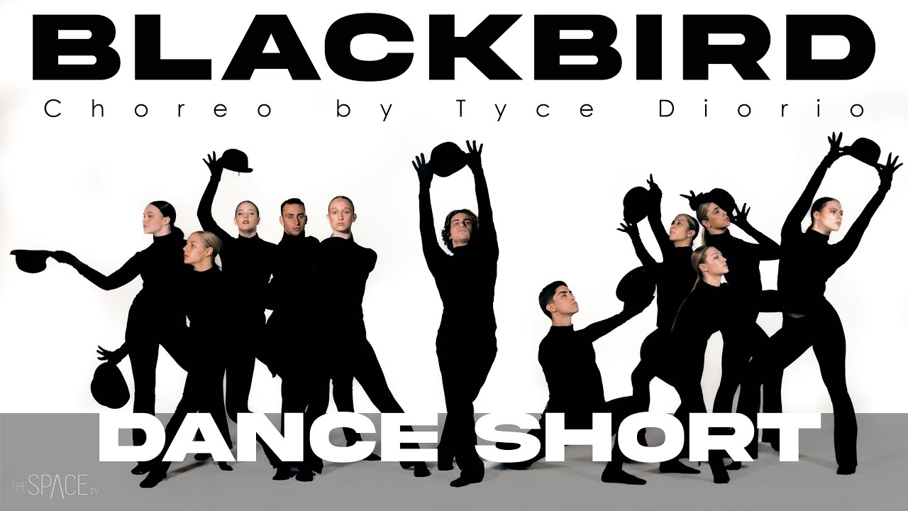 BLACKBIRD