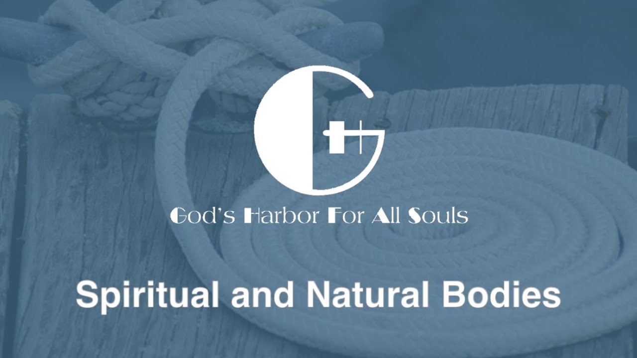 Spiritual and Natural Bodies