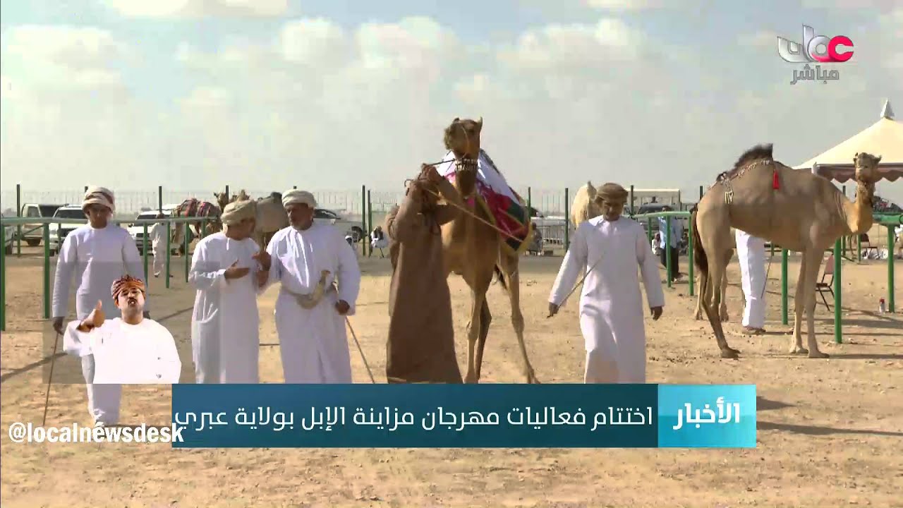 اختتام فعاليات مهرجان مزاينة الأبل بولاية عبري