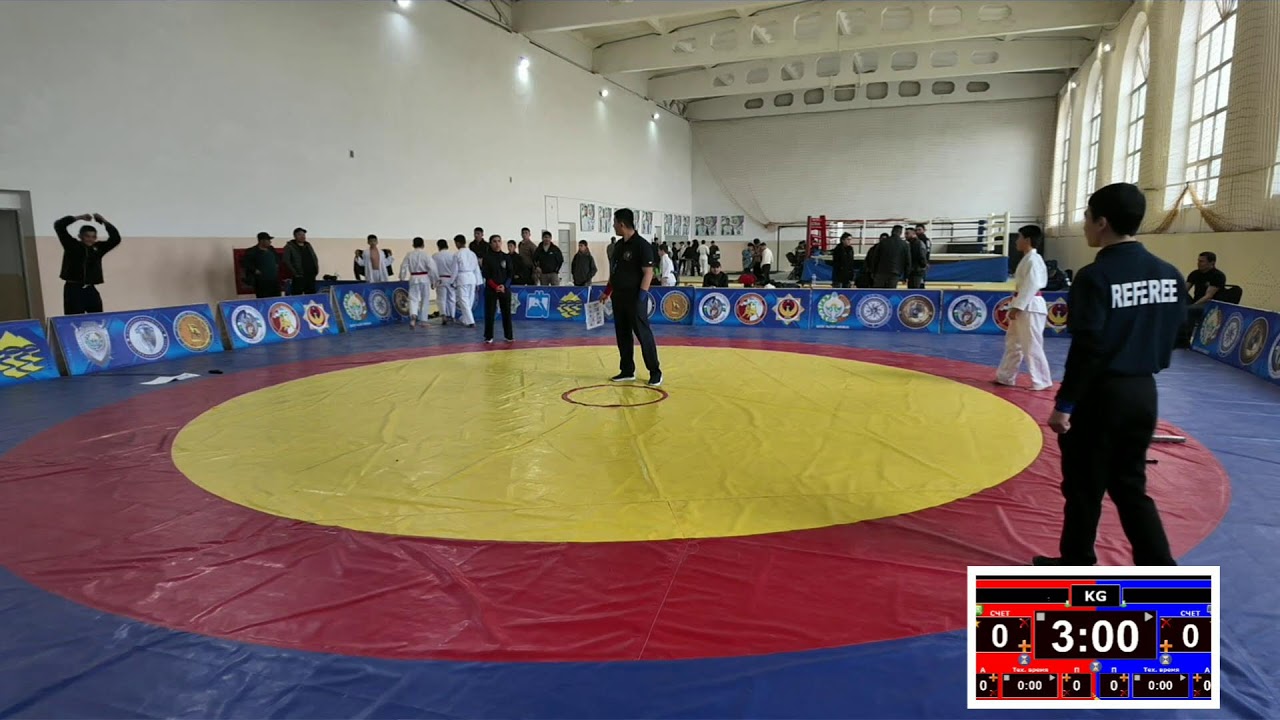 YOSHLAR VA KICHIK O'SMIRLAR O'RTASIDA VILOYAT CHEMPIONATI