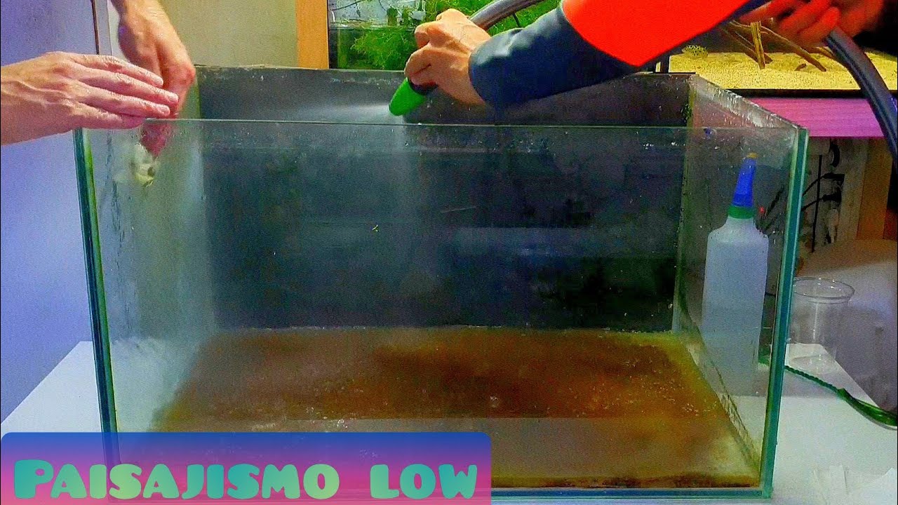 PAISAJISMO LOW COST CAP. 1 / LIMPIEZA Y PREPARACIÓN DEL ACUARIO