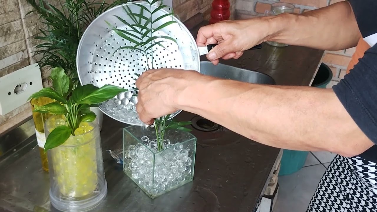 COMO CULTIVAR PLANTAS EM BOLINHAS DE ACRÍLICO