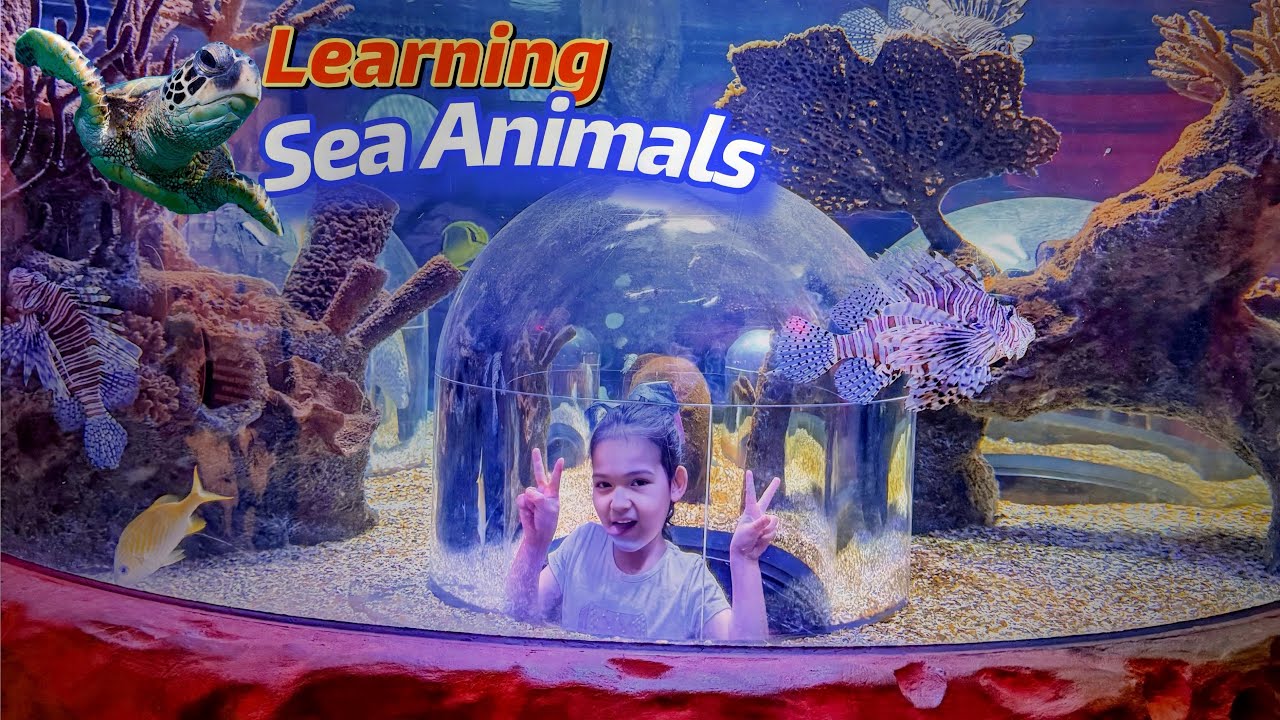Learning Sea Animals 🐠 Fun Aquarium Video for Kids | Armine & Adina