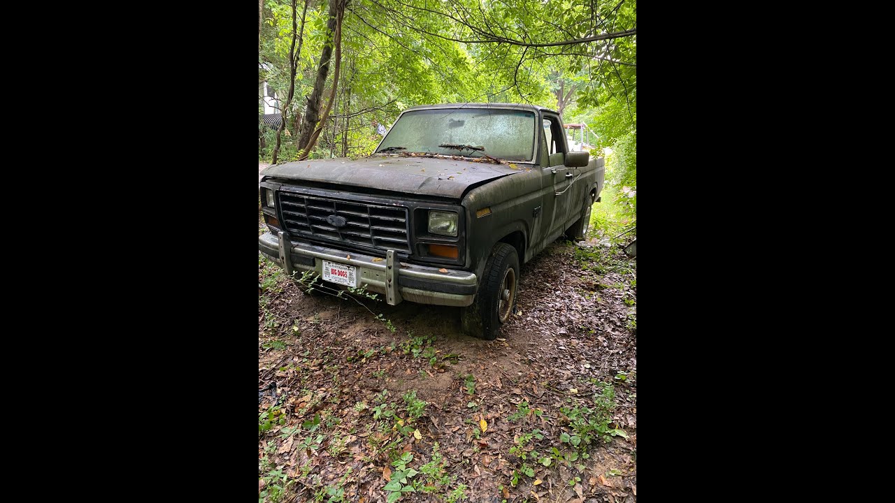 83 Bullnose Revival
