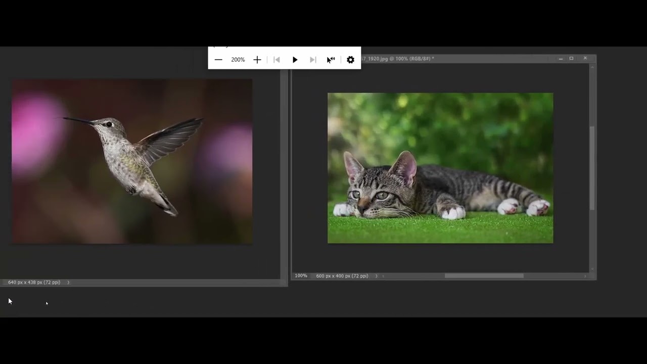 Preparing Images for Web Sites using Photoshop