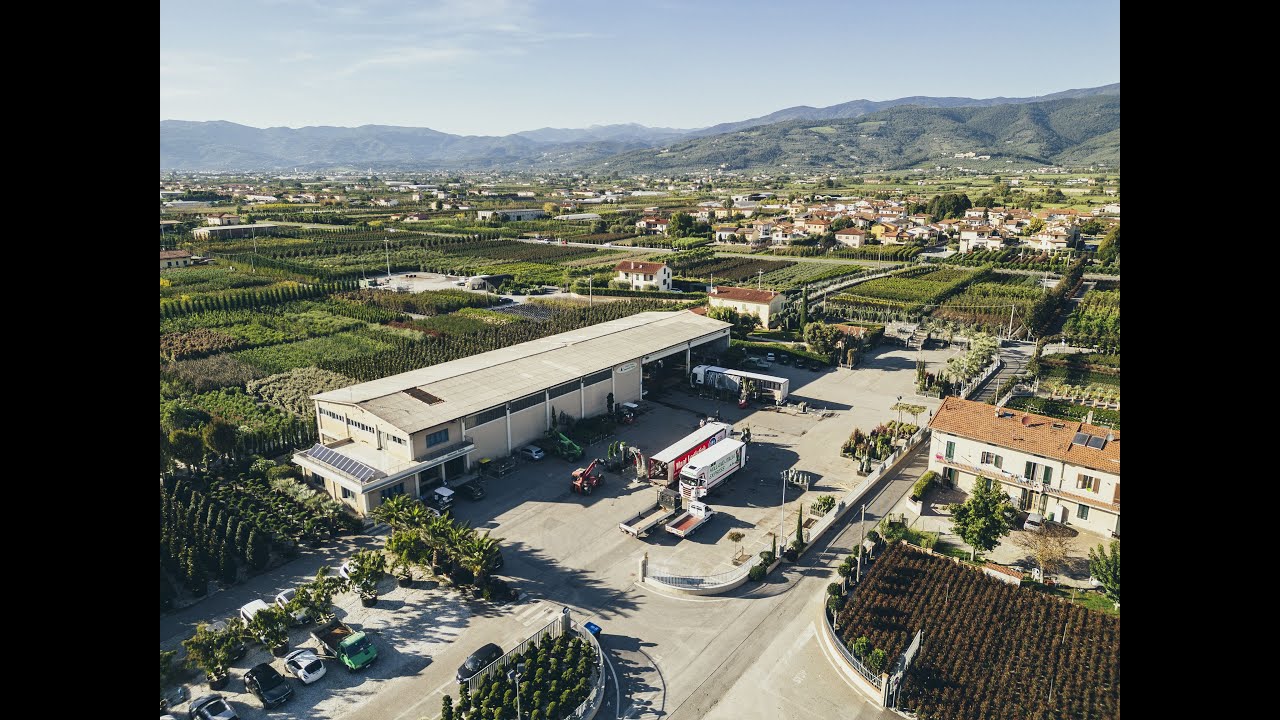 Vivai Piante Innocenti Fidelio | Company Profile 2025