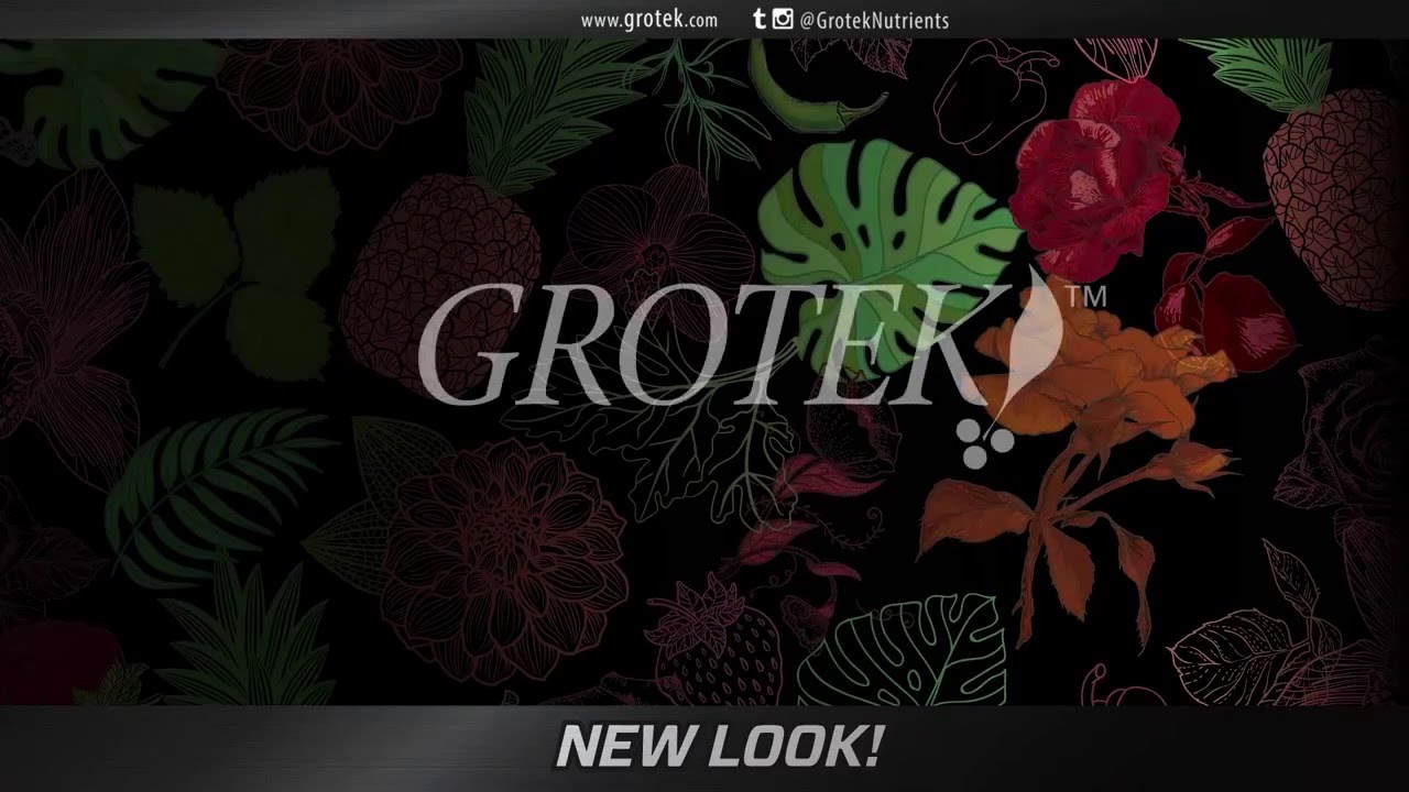 Grotek - Great New Look!