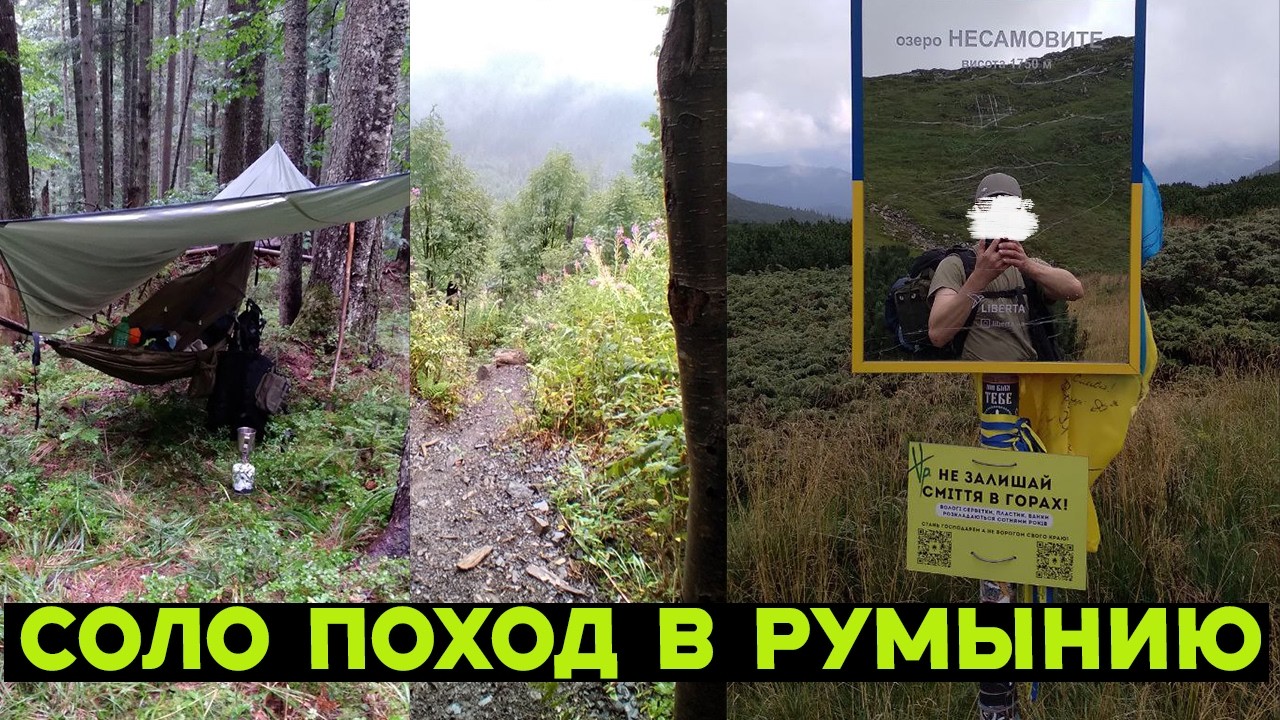 В Румынию за грибами 6 дней 5 ночей.