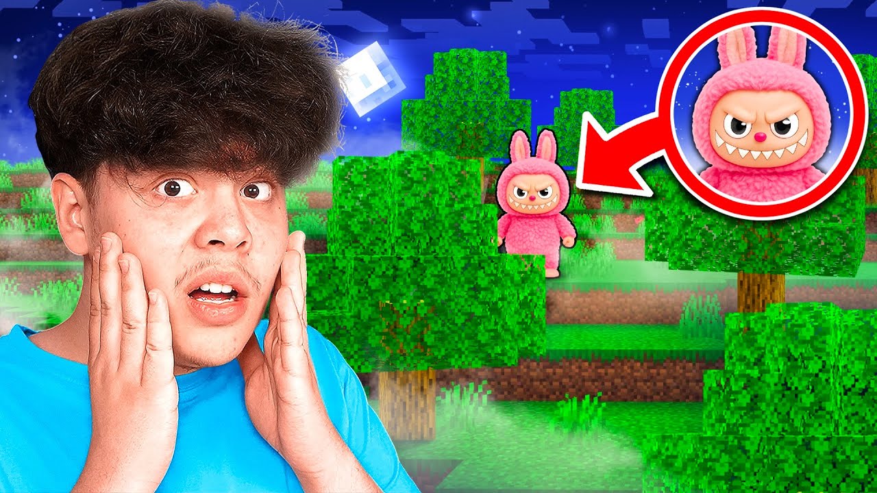 L-am Gasit pe LABUBU !