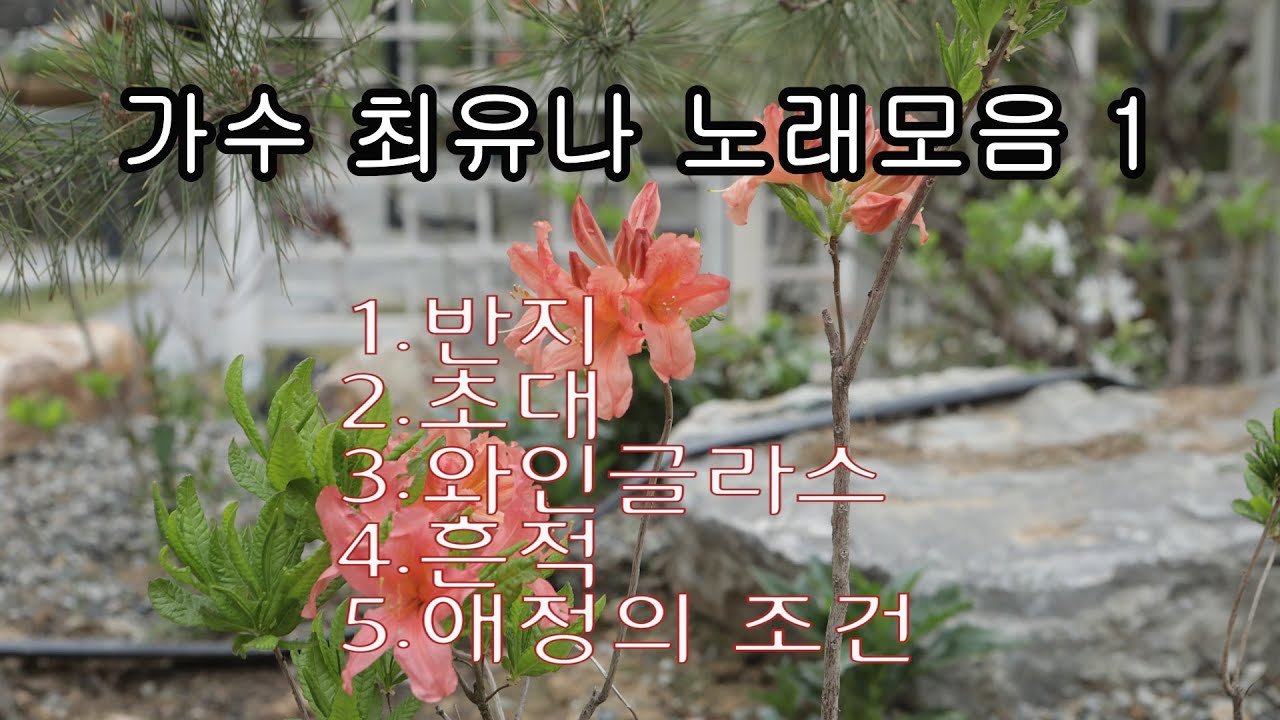최유나 노래모음 1   -장호용 감독