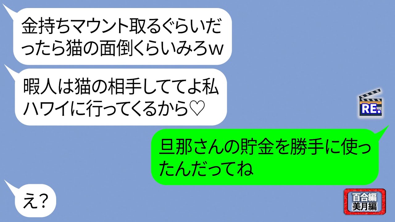 大きい猫を無理やりママ友にあずけてハワイ旅行に出発するママ友【LINE】