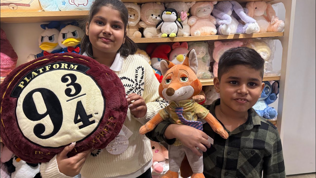 Birthday Shopping & Fun Day 🎉 | Arsha & Anish Birthday Vlog | Shopping, Food & Masti