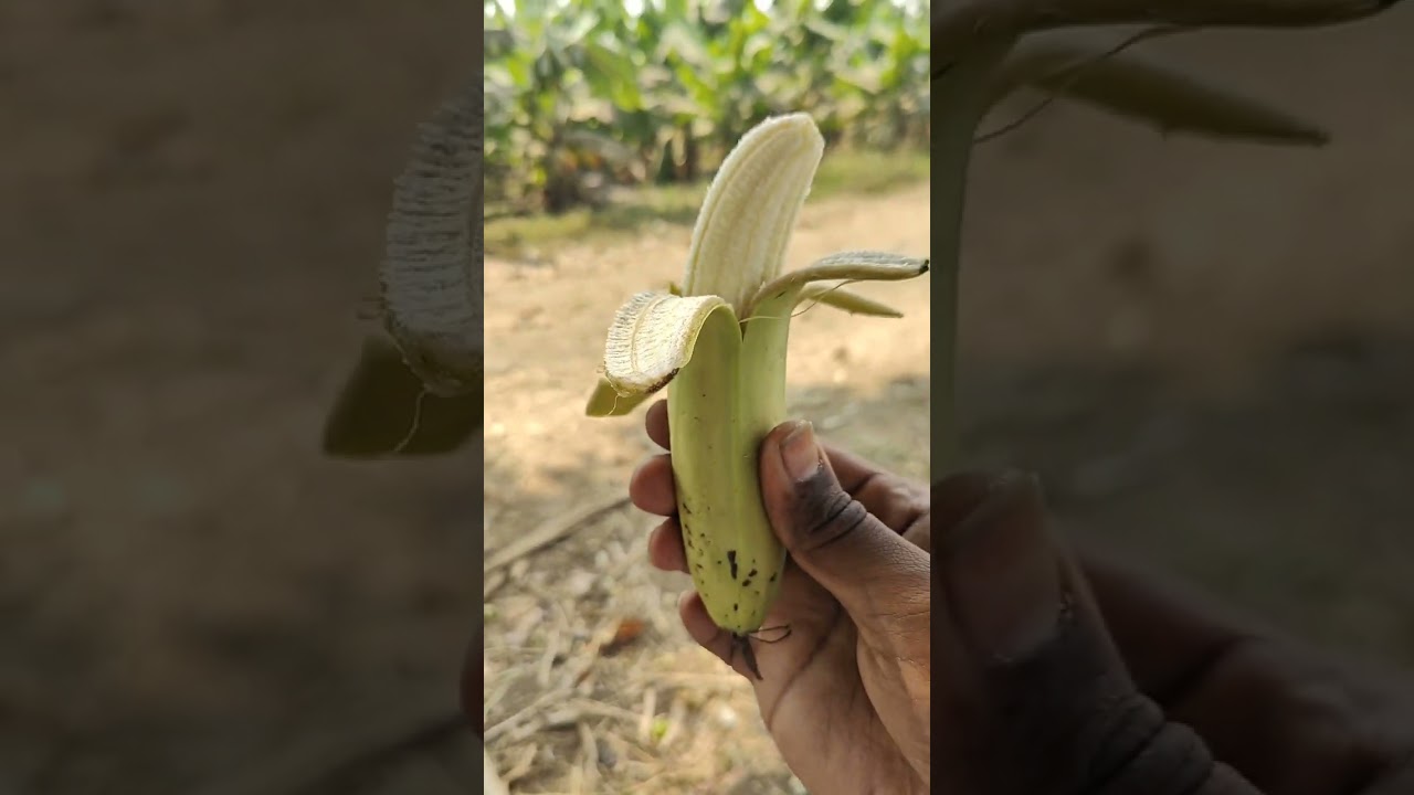आज हमने मार्कण्डेय ऋषि की गुफा के दर्शन किए जिसमें वो तपस्या किया करते थे। नर्मदे हर 🙏