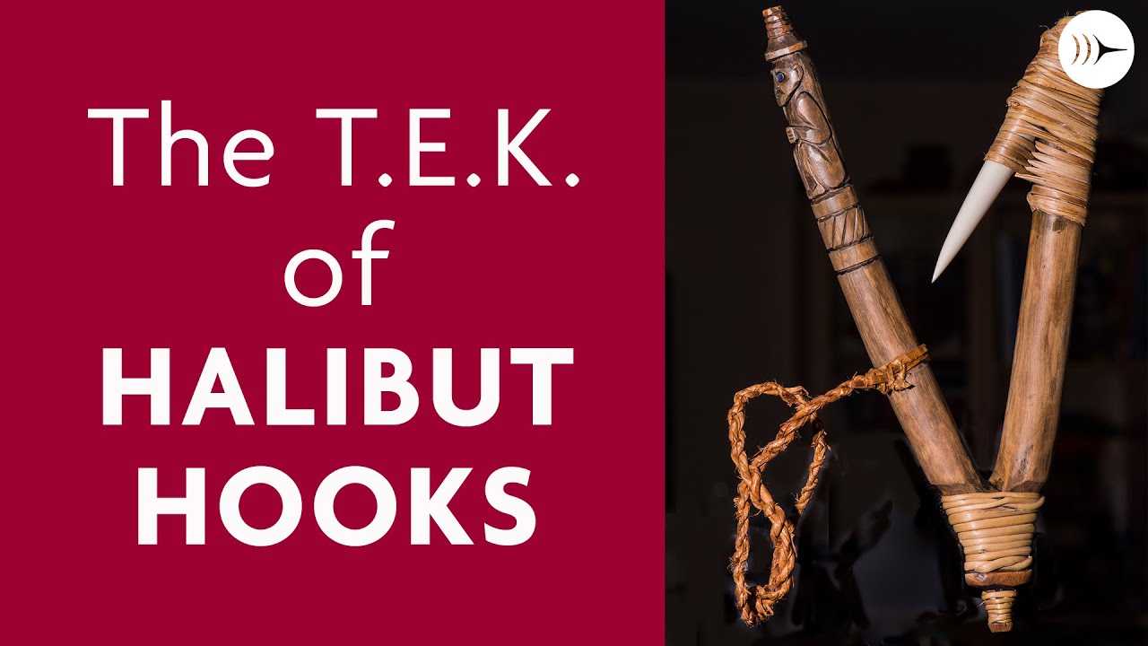 The Traditional Ecological Knowledge of Halibut Hooks