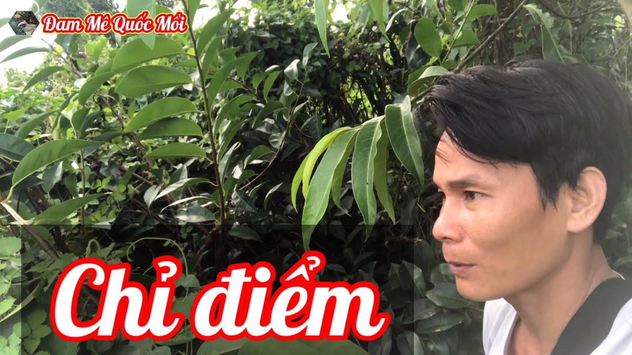 Anh Thảo cứ tìm con nào chịu đấu mà không đá hú em .Con này chưa ăn thua.