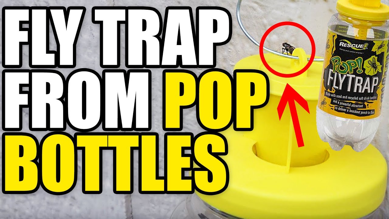 Rescue Pop Fly Trap Review- Part 1 | EpicReviewGuys CC